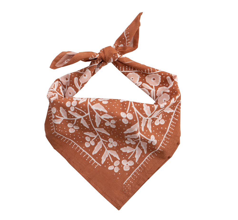 Terra Bandana (22x22)